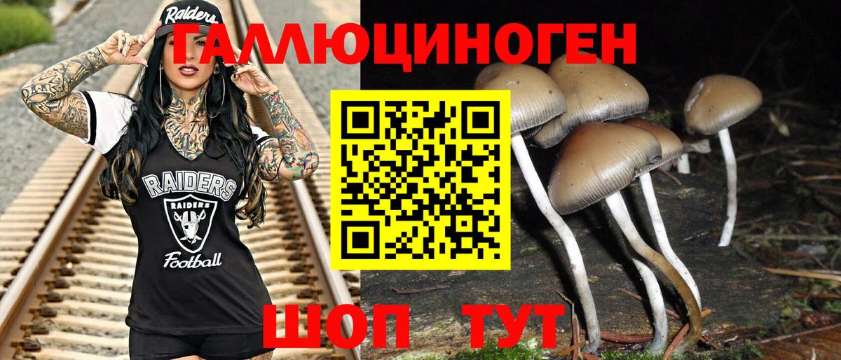 Псилоцибиновые грибы Magic Shrooms Старая Купавна