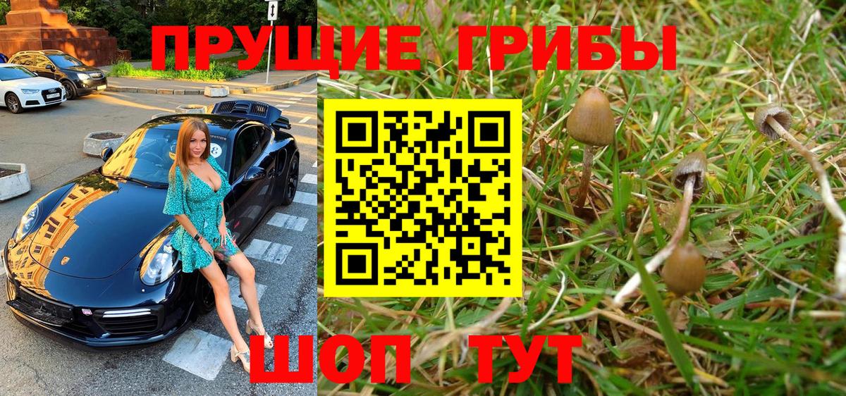 Галлюциногенные грибы Magic Shrooms  Вход с VPN  Старая Купавна 